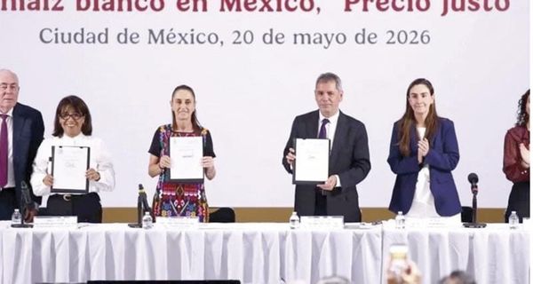 ¡LANZA EL GOBIERNO PLAN DE PRECIO JUSTO PARA MAÍZ BLANCO!
