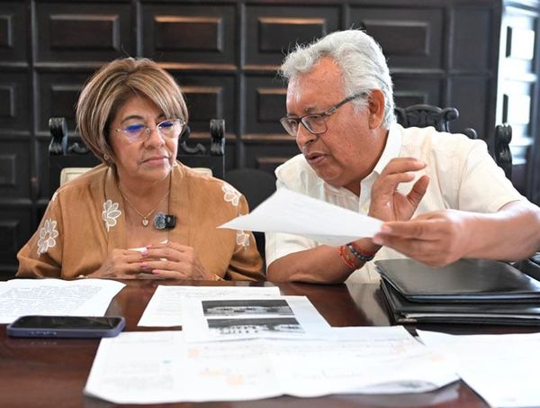 ¡LA CEIBA ‘ESTABA MUERTA’! - YA SE SUPO