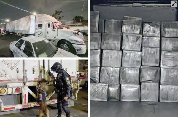 ¡ASEGURAN UN CAMIÓN CON MIL 278 KILOS DE MARIGUANA EN CDMX!