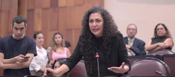 ¡ES POR LA DEUDA! - *Que Finanzas esconde los números