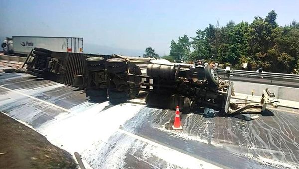 ¡ROBAN 30 TONELADAS DE LECHE! - TRÁILER VOLCÓ EN LA AUTOPISTA XALAPA-PEROTE Y RAPIÑEROS SE LLEVARON LA CARGA