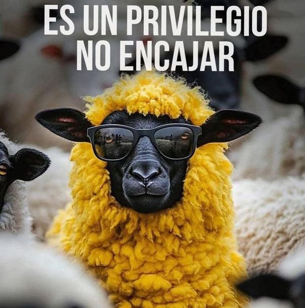 VIVIENDO CON SENTIDO | MISION ESPECIAL - La idea de que viniste al mundo con una “misión especial” es, probablemente, la forma más sofisticada de tortura psicológica que hemos inventado. Nos pasamos décadas buscando un propósito trascendental bajo…