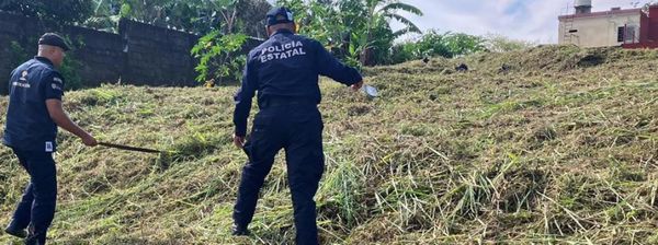 ¡VIOLENTO ASALTO A MATRIMONIO EN PASO DEL TORO!