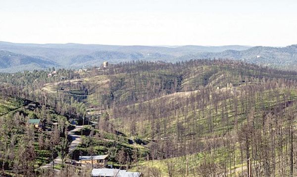 ¡CAE AVIONETA EN ZONA MONTAÑOSA DE RUIDOSO!