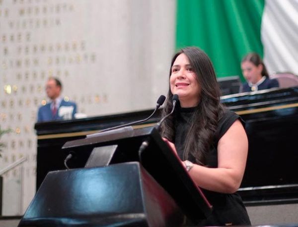 ¡DIPUTADA SE PLAGIA INICIATIVA! - MONSE VS. DOHERNY