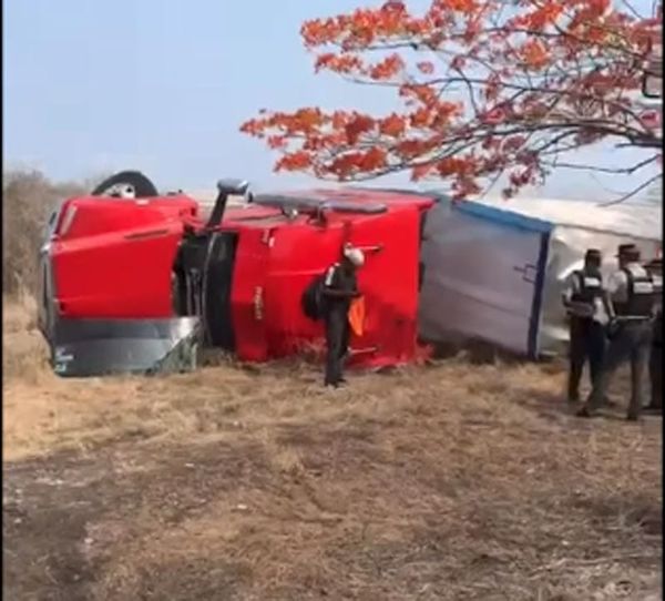 ¡TRÁILER VOLCÓ EN PASO DE OVEJAS!