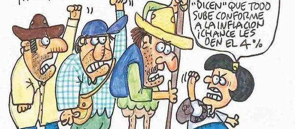 LOS CARTONES
