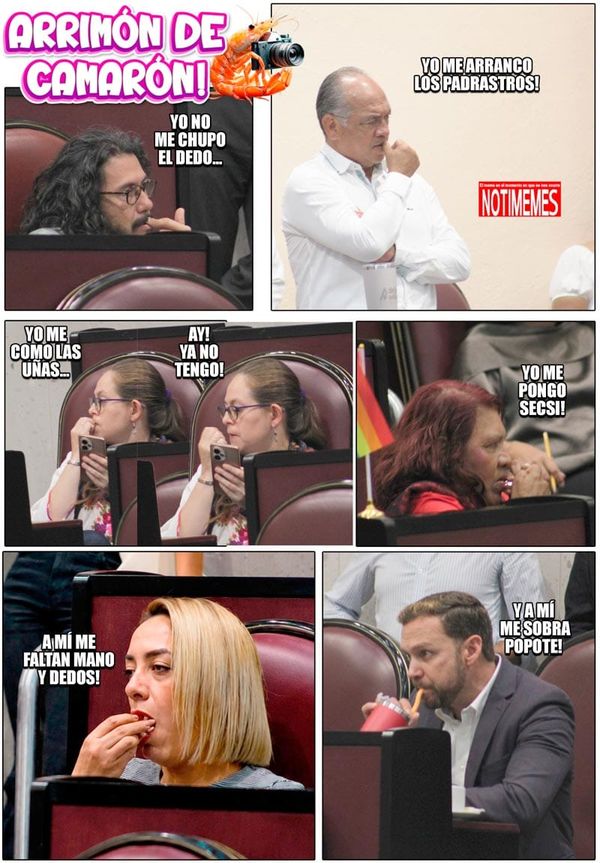 NOTI-MEME | - ARRIMÓN DE CAMARÓN!