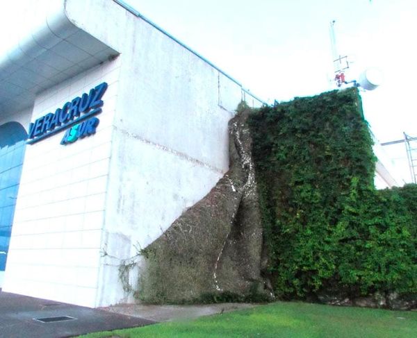 ¡COLAPSÓ RECUBRIMIENTO TIPO PASTO EN EL AEROPUERTO!