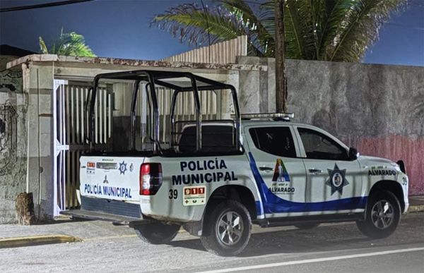 ¡A PEDRADAS VANDALIZAN ESCUELA PRIMARIA EN ANTÓN LIZARDO!