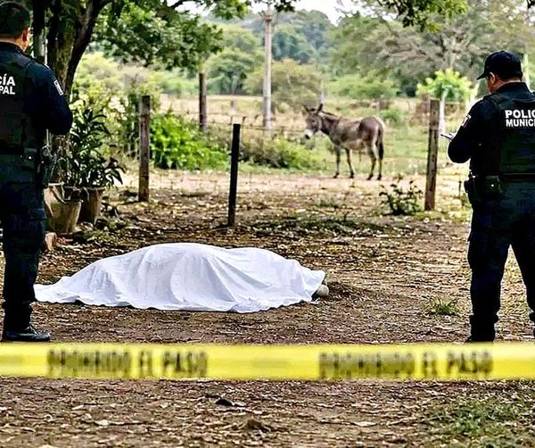 ¡BURRO MATÓ A PATADAS Y MORDIDAS A DON JOSÉ!