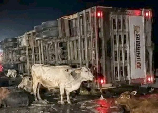 ¡TRAILERO PIERDE LA VIDA EN LA AUTOPISTA!