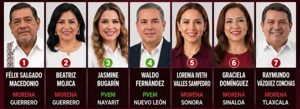 ¡REVISA PVEM LA LISTA DE LOS ASPIRANTES PARA GUBERNATURAS