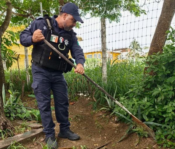 ¡ENCUENTRAN A ANCIANITA MUERTA JUNTO CON SUS PERROS Y PAJARITOS!