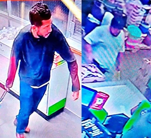 ¡BANDA DE RATAS ASALTAN TIENDA DE ‘MAMÁ LUCHA’!