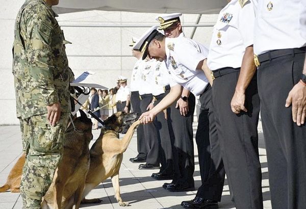 ¡SEMAR JUBILA CON HONORES A LOS BINOMIOS CANINOS NIKO, HUNTER E HIDRA!