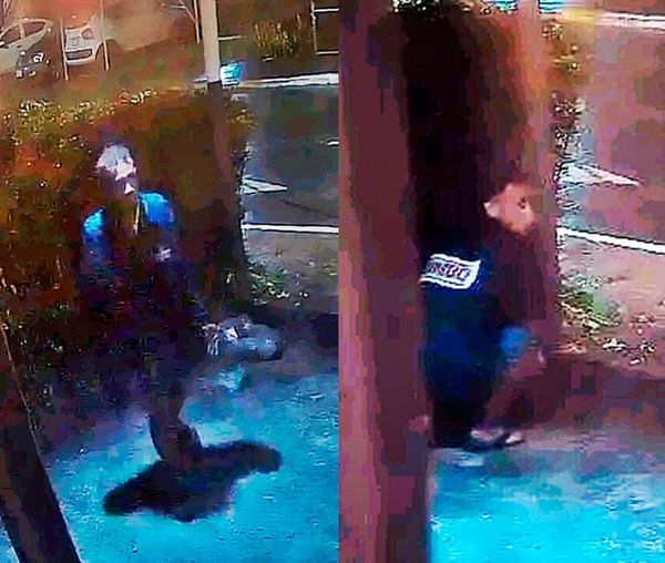 ¡CACHAN EN VIDEO A LADRÓN A CASAS EN GEO VILLAS!