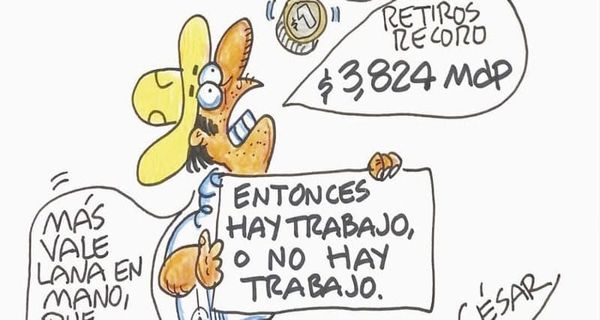 LOS CARTONES