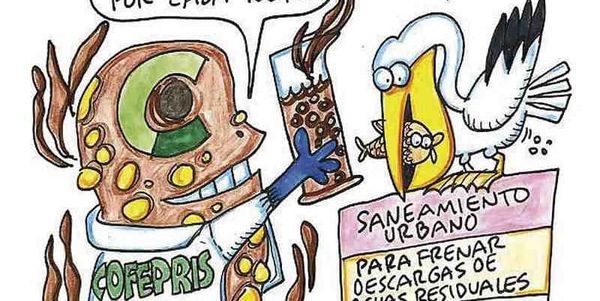 LOS CARTONES