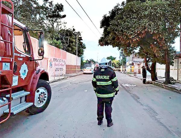 ¡TRES LESIONADOS POR ATAQUE DE ABEJAS EN LA COLONIA HIDALGO!