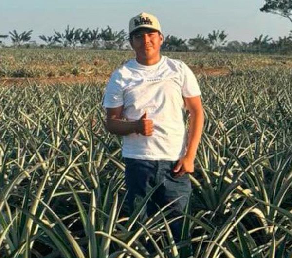 ¡FALLECE ELECTROCUTADO PRODUCTOR DE PIÑAS!