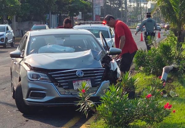 ¡AUTO DERRIBA LUMINARIA!