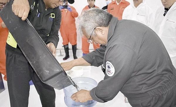 ¡LIBERAN 2.5 MILLONES DE MOSCAS ESTÉRILES! - POR GUSANO BARRENADOR EN CHIHUAUA