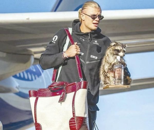 ATERRIZA HAALAND EN OSLO TRAS EL MUNDIAL ¡CON UN MAPACHE!