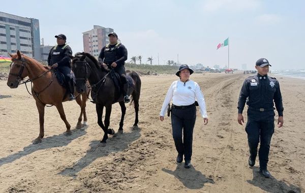 ¡LOS VAN A CUIDAR! - VACACIONES SEGURAS