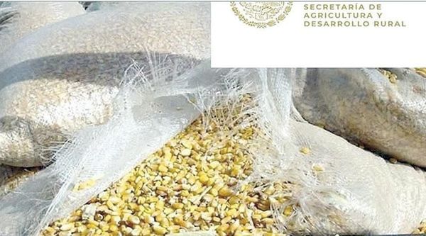 ¡SOBORNAN EN DÓLARES PARA IMPORTAR GRANOS!