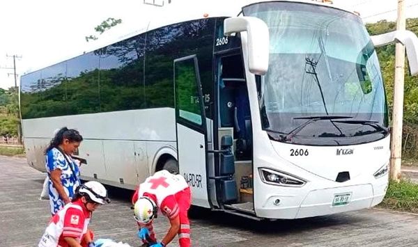 ¡ANCIANITA ARROLLADA POR AUTOBÚS Y EL CHOFER HUYÓ!