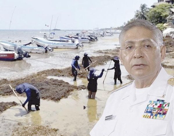 ¡BLINDAN MÁS DE 100 PLAYAS DEL SARGAZO!