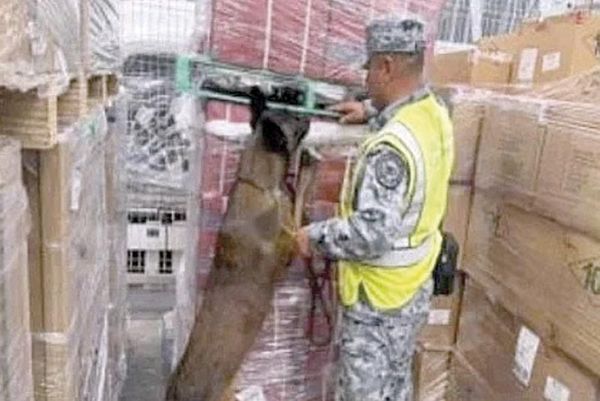 ¡DETECTAN CARGA CON 84 MIL CIGARRILLOS APÓCRIFOS EN AIFA!