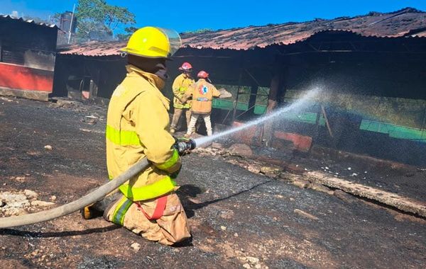 ¡MUEREN QUEMADOS 31 MIL POLLOS POR VORAZ INCENDIO!