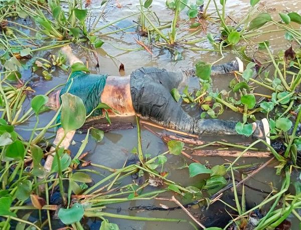 ¡APARECE FLOTANDO EN EL RÍO PAPALOAPAN!