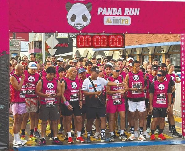 ¡LA PANDA RUN INTRA 2026!