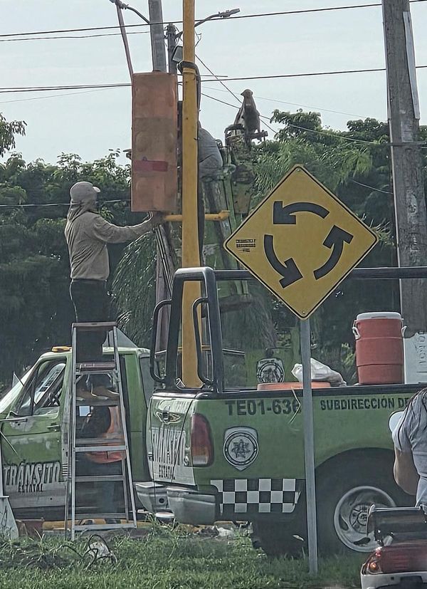 ¡Y DESPUÉS DE 10 AÑOS VUELVEN A PONER UN SEMÁFORO EN MEDELLÍN!