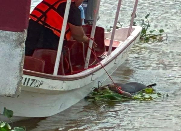 ¡APARECE CADÁVER FLOTANDO EN EL RÍO COATZACOALCOS!