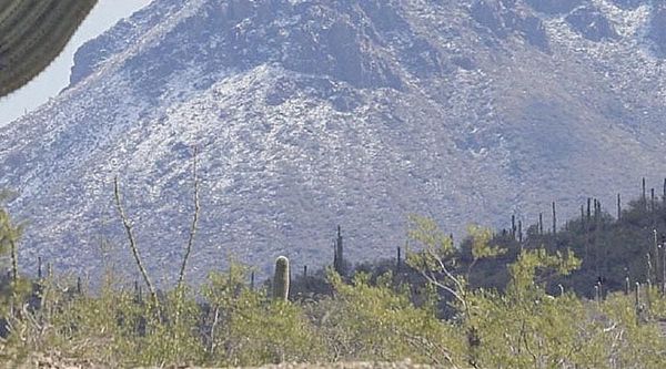 ¡RECUPERAN EN ARIZONA MÁS DE 2 MIL CADÁVERES DE MEXICANOS!