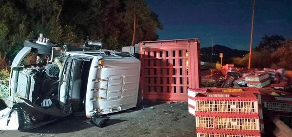 ¡VOLCÓ TORTON CARGADO CON POLLOS Y RAPIÑEROS SE ROBARON LAS AVES!