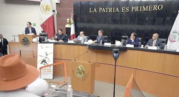 ¡VA MC EN SENADO POR LEY DE ASCENSO Y DESCENSO EN EL FÚTBOL!