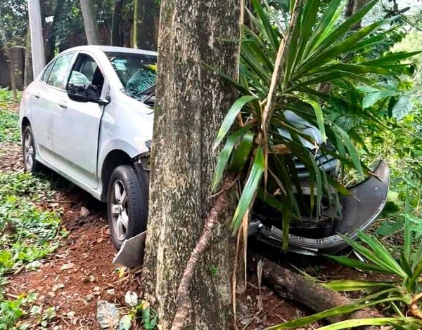 ¡PIERDEN LA VIDA MUJER Y SU PERRO ARROLLADOS EN FORTÍN!