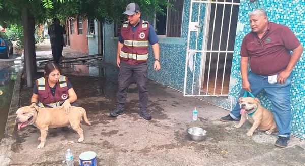 ¡RESCATAN A 7 PERRITOS DE VIVIENDA EN LLAMAS!