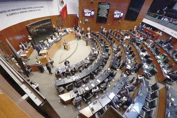 ¡TURNAN AL SENADO FILTRO MILITAR A INVERSIÓN EXTRANJERA!