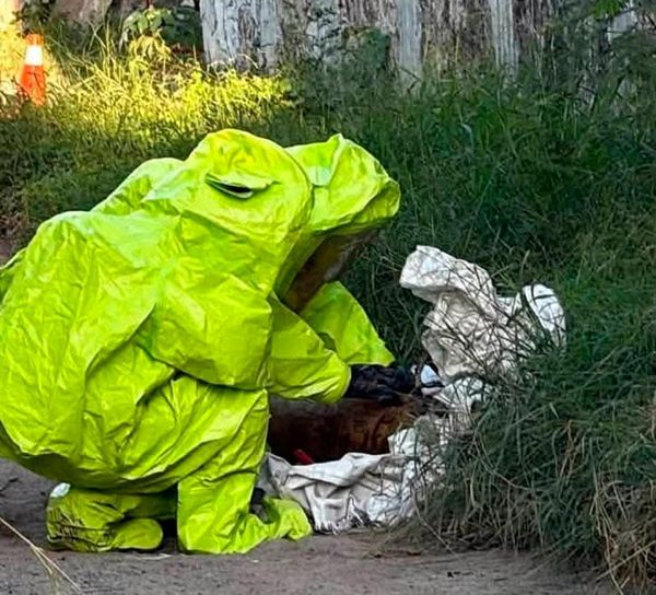 ¡SE MOVILIZARON BOMBEROS Y PC POR CILINDRO DE GAS CLORO!