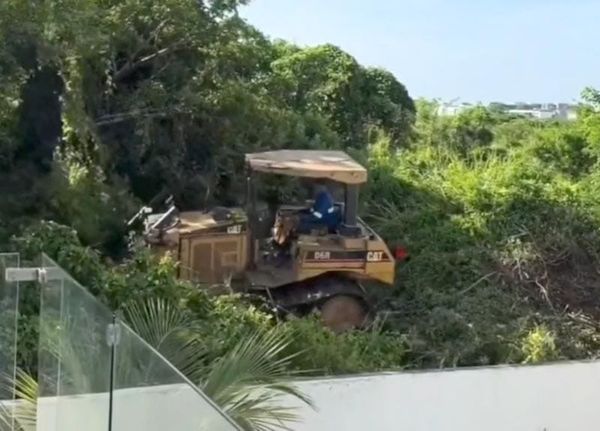 ¡DENUNCIAN DEVASTACIÓN! - EN LA RIVIERA VERACRUZANA