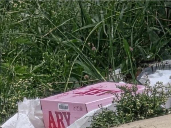 ¡HALLAN FETO EN CAJA DE ZAPATOS EN XALAPA!