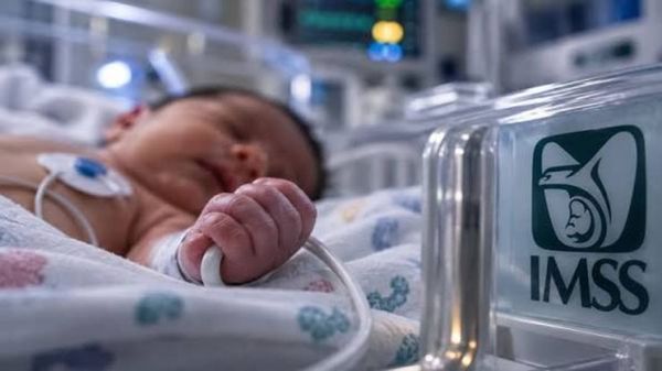 ¡IMSS CONFIRMA PRESENCIA DE BACTERIA EN CUATRO DE CINCO BEBÉS MUERTOS EN HOSPITAL!