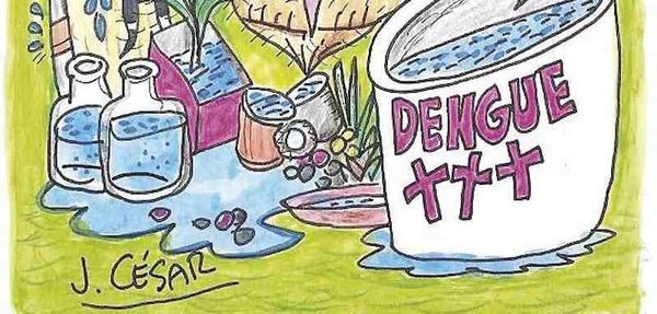 LOS CARTONES
