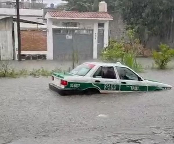 ¡GLUP, GLUP, GLUP...! - PURAS PÉRDIDAS